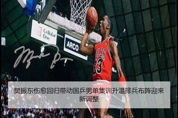 樊振东伤愈回归带动国乒男单集训升温排兵布阵迎来新调整